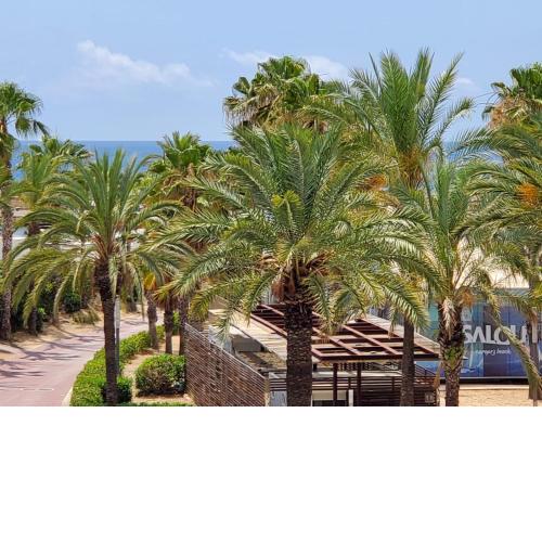 Salou primera linea de mar