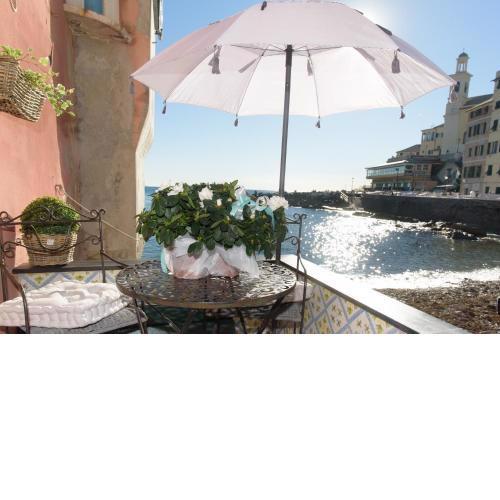 Salsedine Relais