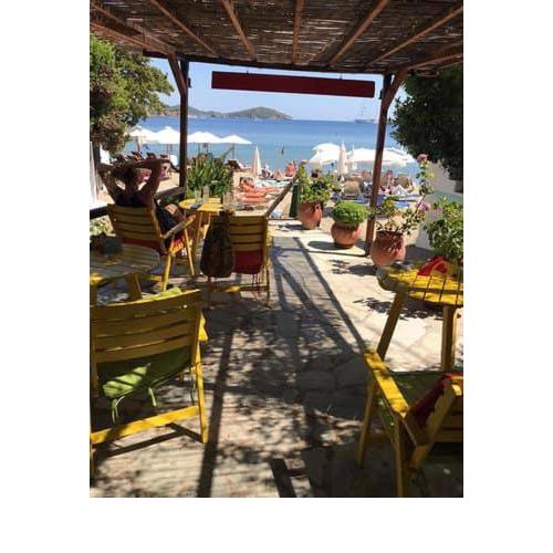 saltyshells of Skiathos