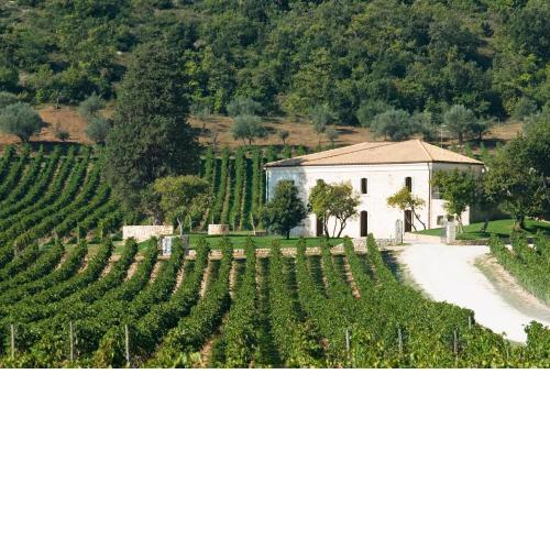 San Calisto camere con vigna