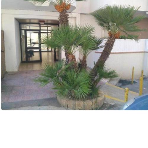 San Leone Apartment