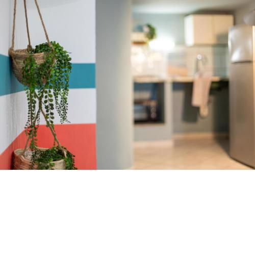 San Pantaleo-Coral apartment 1