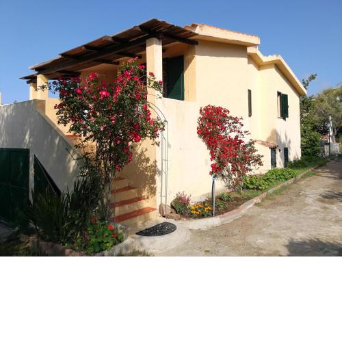 San Teodoro Centro a due passi dal mare Giardino di Cala d'Ambra Appartamento Arancio