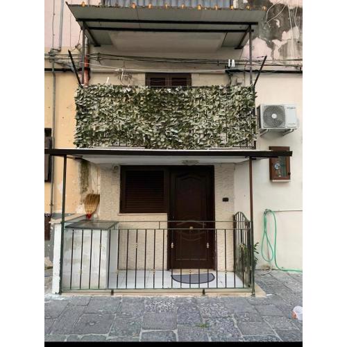 San Vincenzo House