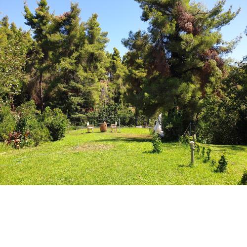 Sani forest house