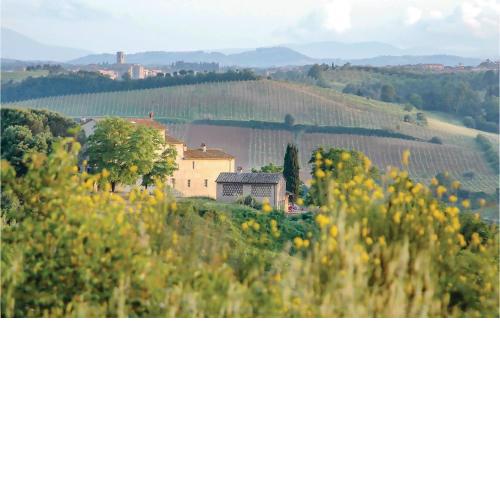 Sanlucchese 2