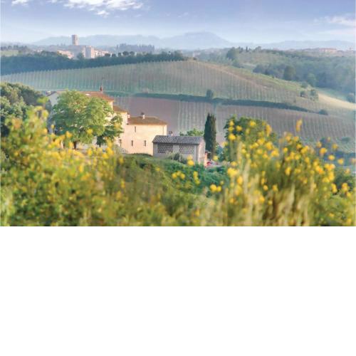 Sanlucchese 3