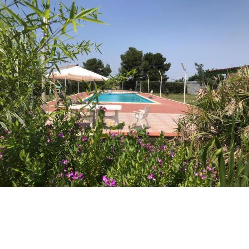 Sans-souci