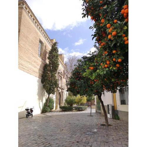 Santa Isabel Apartaments low cost rooms