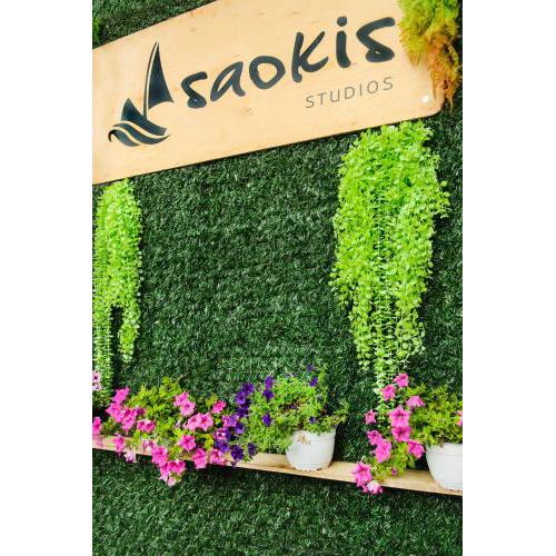 Saokis Studios