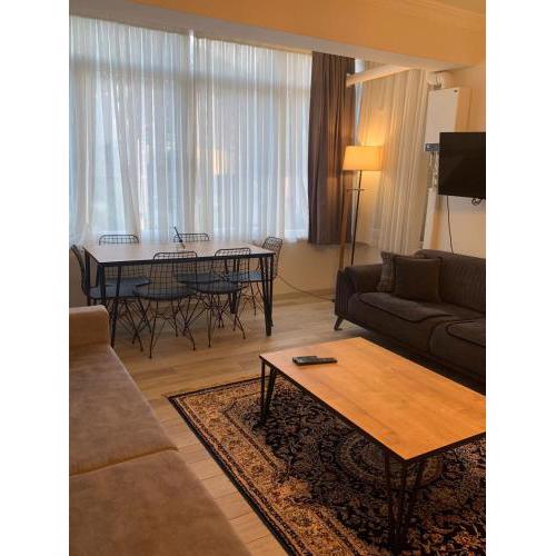 Sapanca furnished luxury apartment