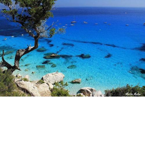 Sardinia Suite Apartment Dorgali