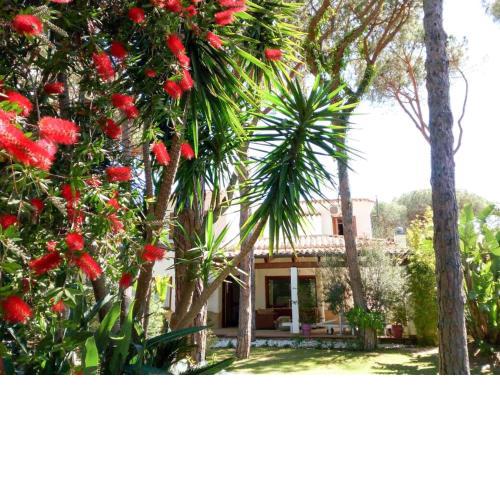 Sardinian Pearl Villa