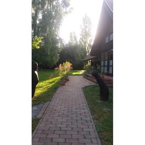 Sárkány Bio Panzió