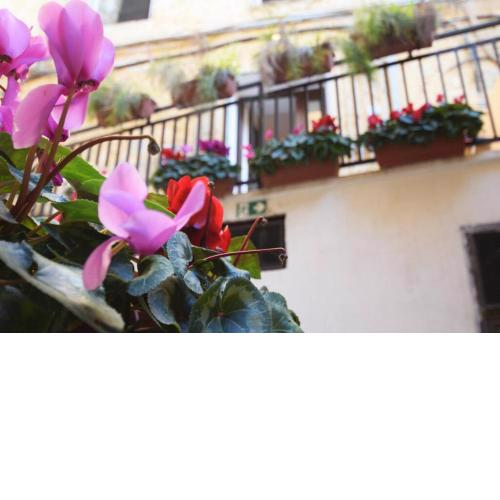 Scalia House appartamento via Atenea Agrigento