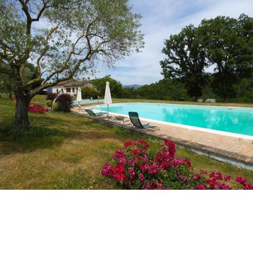 SCAPPO IN UMBRIA, La cantinetta