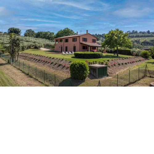 Scappo in Umbria,Vigne di Mevania