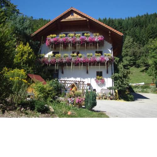 Schaf- und Pferdehof Klinser