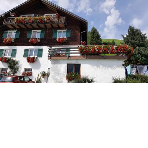 Schäfer Zita