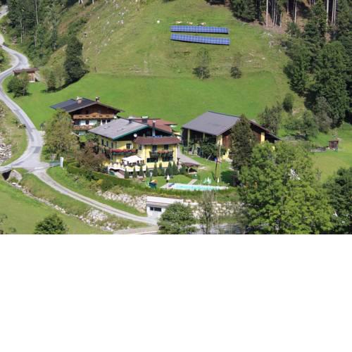 Schattaugut