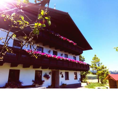 Schusterbauer