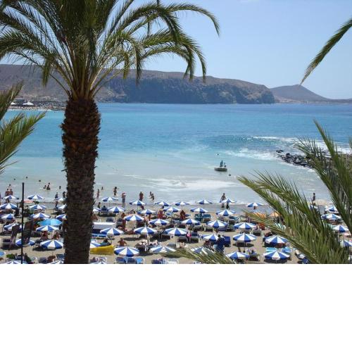 Sea Breeze in Playa de las Americas