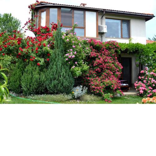 Sea & garden villa