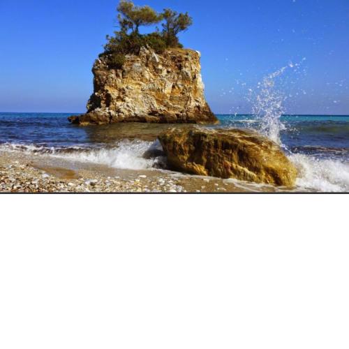 Sea La Vie
