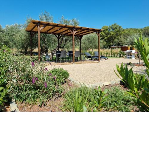 Sea ​​& Olive trees