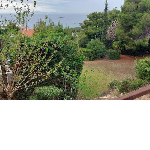 Sea Satin Anavyssos