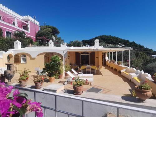 Sea View con terrazza e giardino