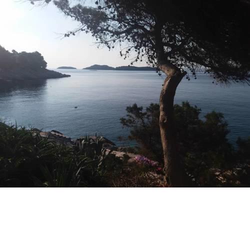 Sea view house Prizba