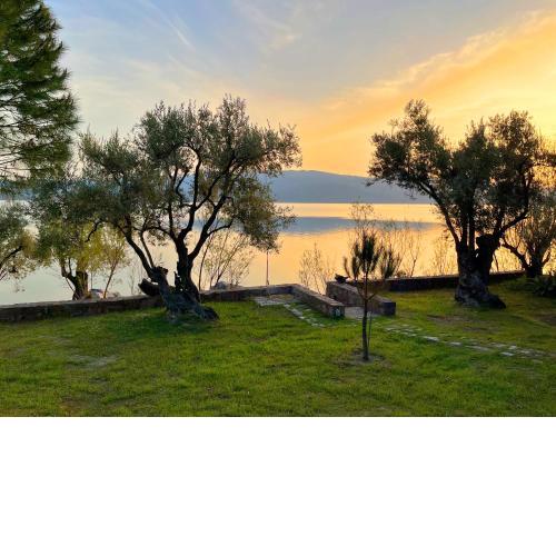 Seafront Traditional Stone House in Sunset Olive Grove - B