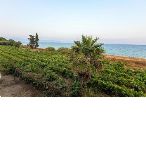 Seaheaven houses A2