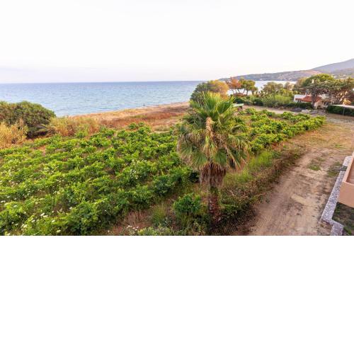 Seaheaven houses B4