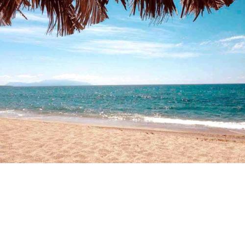 Seas the Day