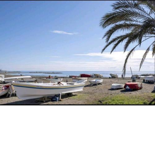 Seashore Beach Apartment A