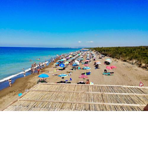 Seaside Apartment - Tuscany - Marina di Bibbona Riviera degli Etruschi