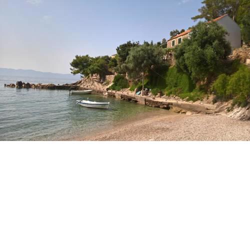 Seaside secluded apartments Cove Torac, Hvar - 4875