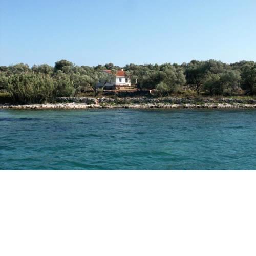 Secluded fisherman's cottage Krknata, Dugi otok - 397
