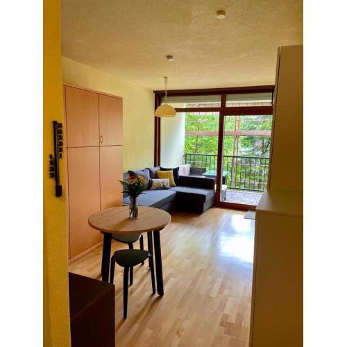 Seeappartement im Haus Landskron direkt am Ossiachersee LA6