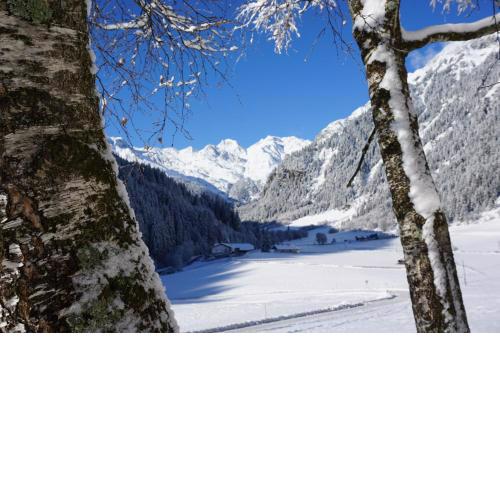 Seeberhof