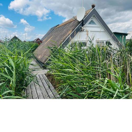 Seehütte Villa am Neusiedler See
