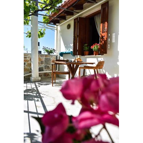 Selena Guest House
