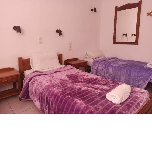 Selena Rooms