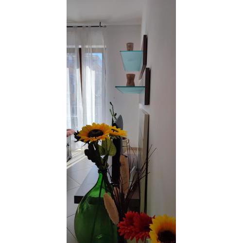 Serena GuestHouse