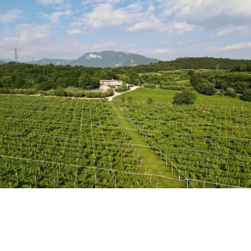 Serene Holiday and Wine Farm