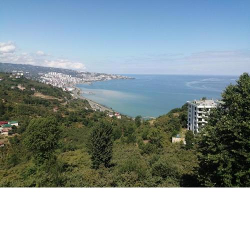 Sevgi Hause