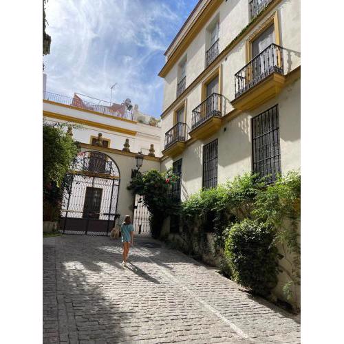 Sevilla Centro-Casco Antiguo -Vidrio 36