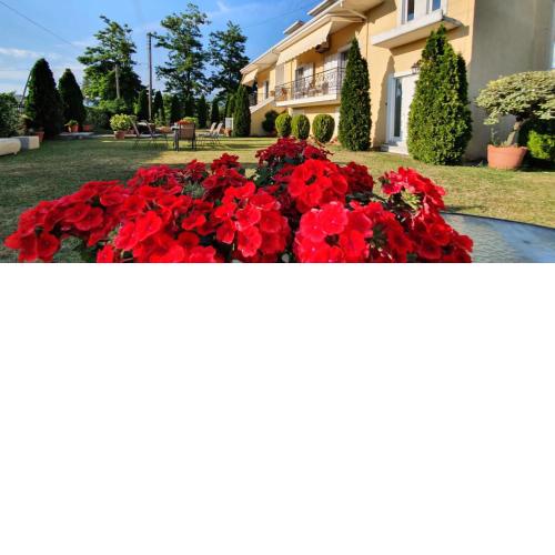 Sevi's Luxury Guesthouse Villa